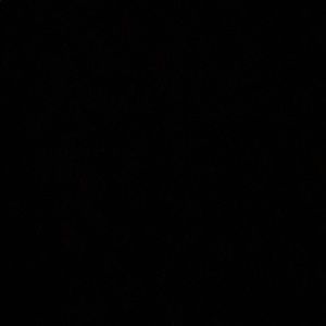 Meet your Posher, Jerrell